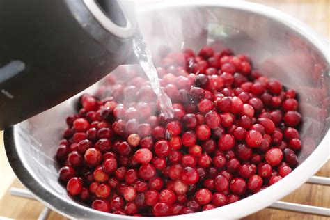 Dried Cranberry moisture meter|how to refrigerate dried cranberries.